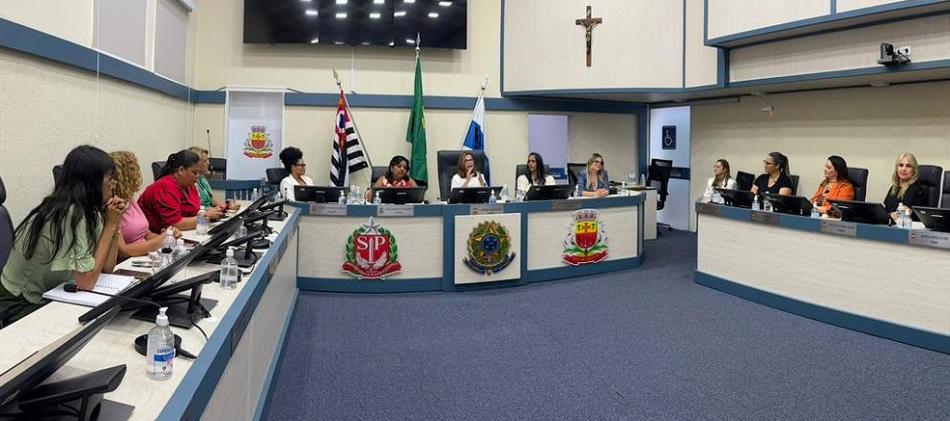 02_06-1-reuniao-frente-parlamentar-feminina-4.jpeg