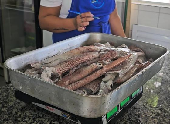 4-edicao-do-festival-da-lula-de-ilhabela-traz-como-novidade-programacao-no-mercado-do-peixe-e-centro-cultural-da-salga.jpeg