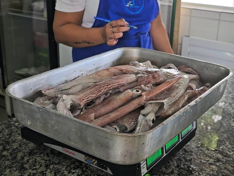 4-edicao-do-festival-da-lula-de-ilhabela-traz-como-novidade-programacao-no-mercado-do-peixe-e-centro-cultural-da-salga.jpeg