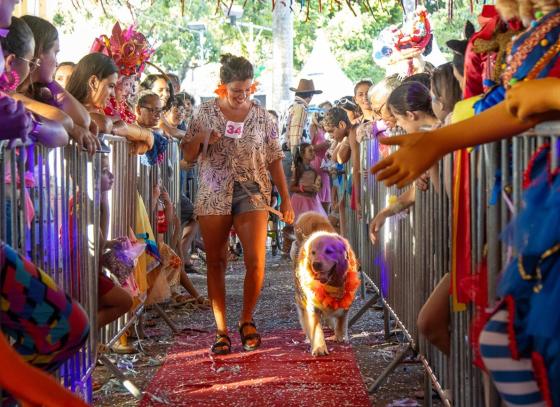 carnapet-promete-muita-diversao-aos-folioes-e-seus-pets-no-sabado-de-carnaval-1.jpg