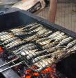 festival-sardinha-ilhabela-3.jpg