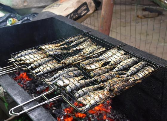 festival-sardinha-ilhabela-3.jpg