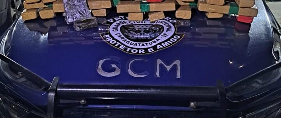 gcm-1-1-721x305.jpeg