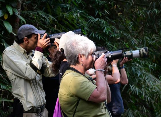 ilhabela-realiza-bird-week-2025-com-programacao-especial-de-observacao-de-aves-e-educacao-ambiental-2.jpeg