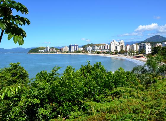 martim-de-sa-jc-curtis-1.jpg