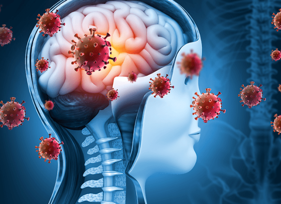 meningite-1.png