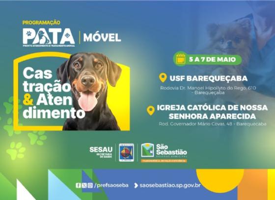 pata-movel.jpg