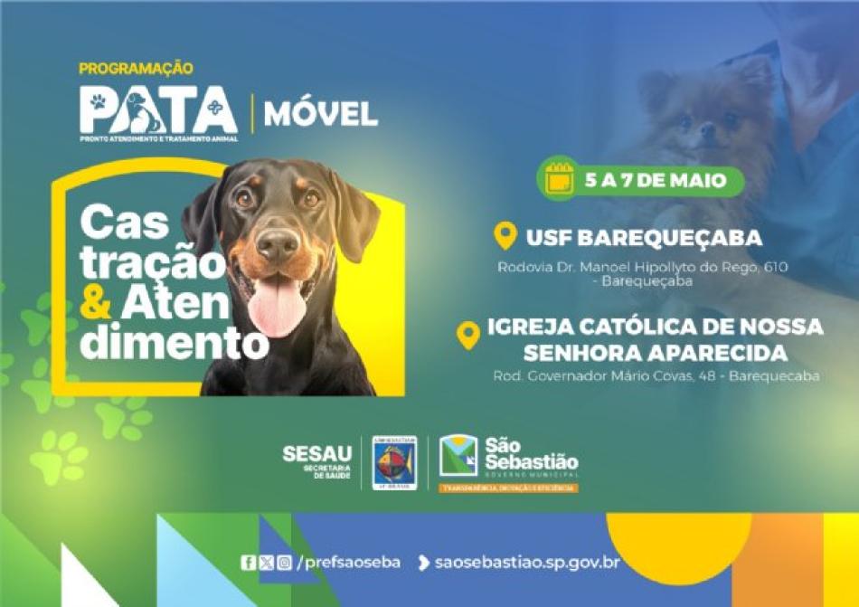 pata-movel.jpg