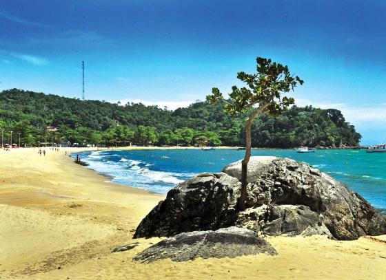 sao-sebastiao-meio-ambiente-praia-praia-cigarras-4-bx.jpg
